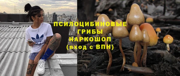 меф Алексин