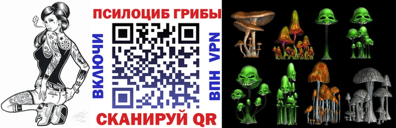 купить наркотик  Николаевск  Галлюциногенные грибы Psilocybe 